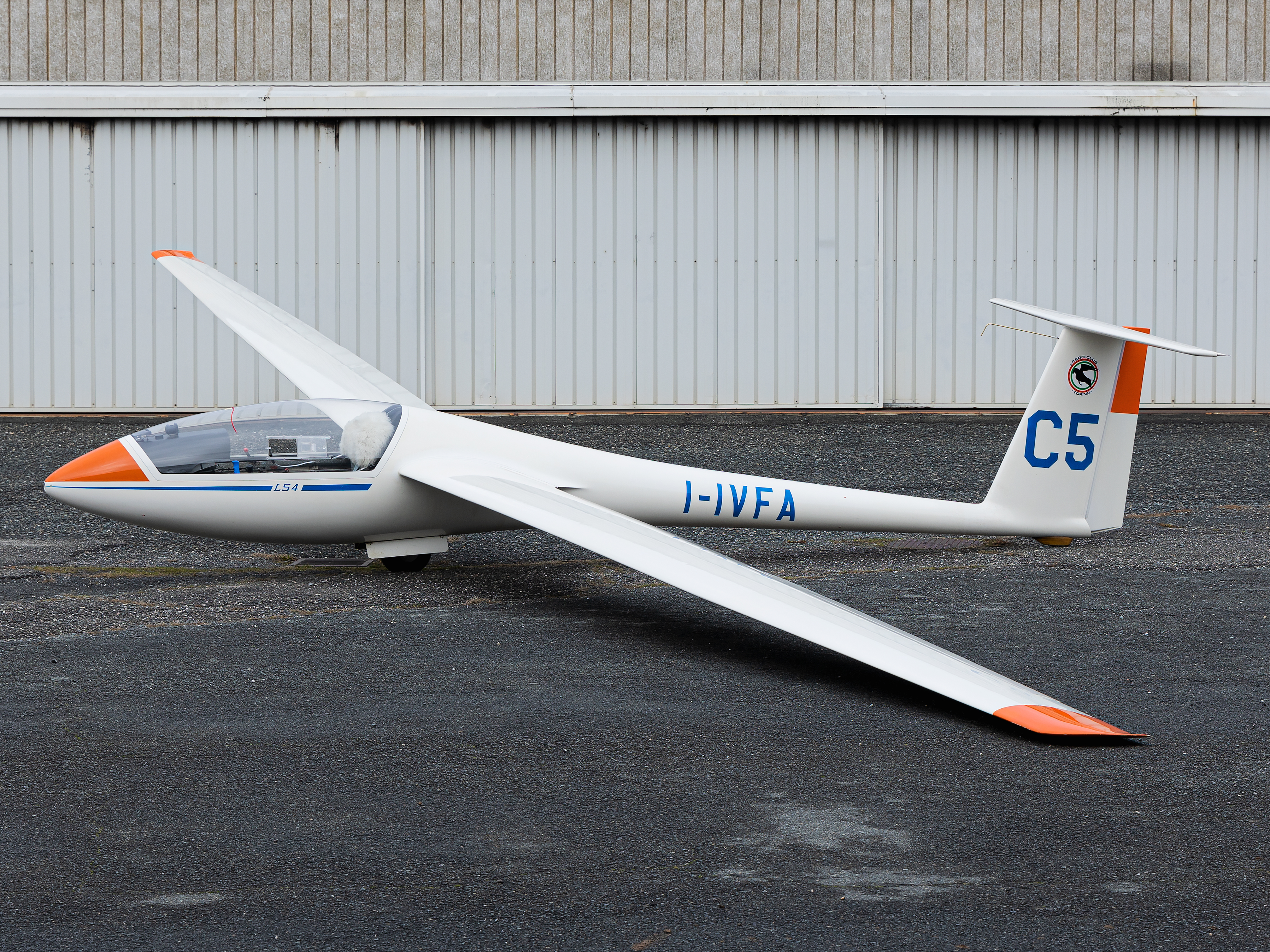 Rolladen-Schneider LS4